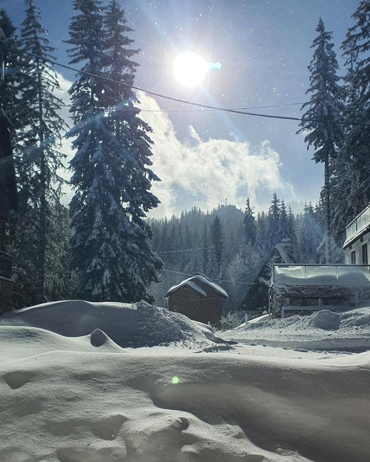 Jahorina Villa In Екстер'єр фото